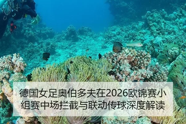 de-guo-nv-zu-ao-bo-duo-fu-zai-ou-jin-sai-xiao-zu-sai-zhong-chang-lan-jie-yu-lian-dong-chuan-qiu-shen-du-jie-du-2-860.jpg